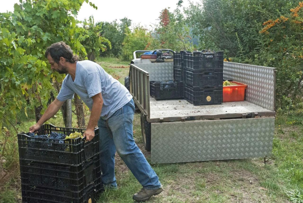 Agriturismo Alle Camelie Βίλα Capannori Εξωτερικό φωτογραφία